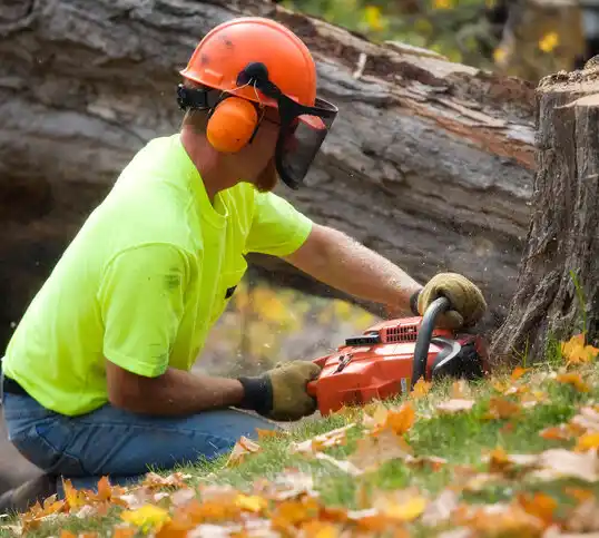 tree services Cardington